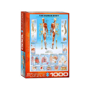 Eurographics Jigsaws The Human Body (1000pc) Eurographics