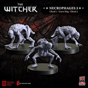 Monster Fight Club Miniatures The Witcher Miniatures - Necrophages 1 - Grave Hag