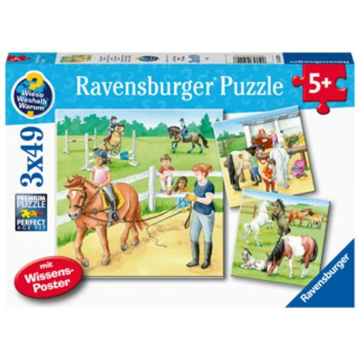 A Day at the Stables Puzzle (3x49pc) Ravensburger
