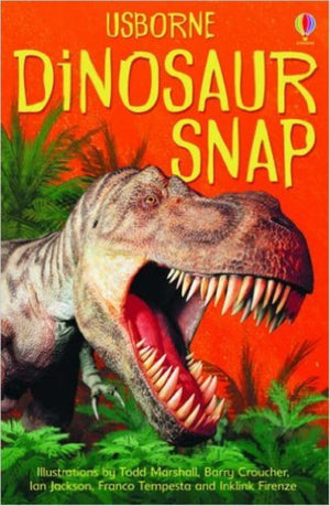 Usborne Board & Card Games Dinosaur Snap