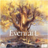 DLP Games Board & Card Games Evenfall