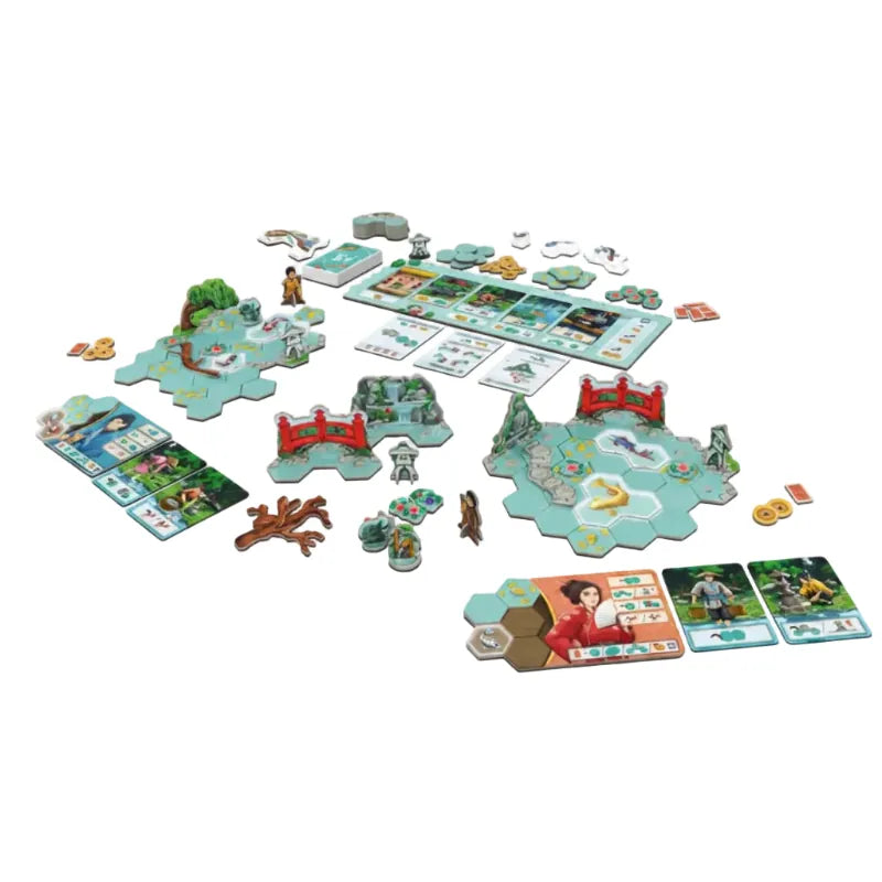 DV Games Board & Card Games Koi
