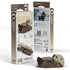 Eugy Construction Puzzles Eugy - 3D Model - Sea Otter (060)