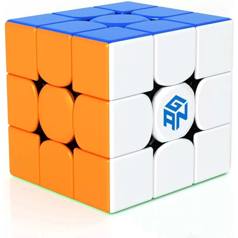 GAN Logic Puzzles GAN - 356 RS