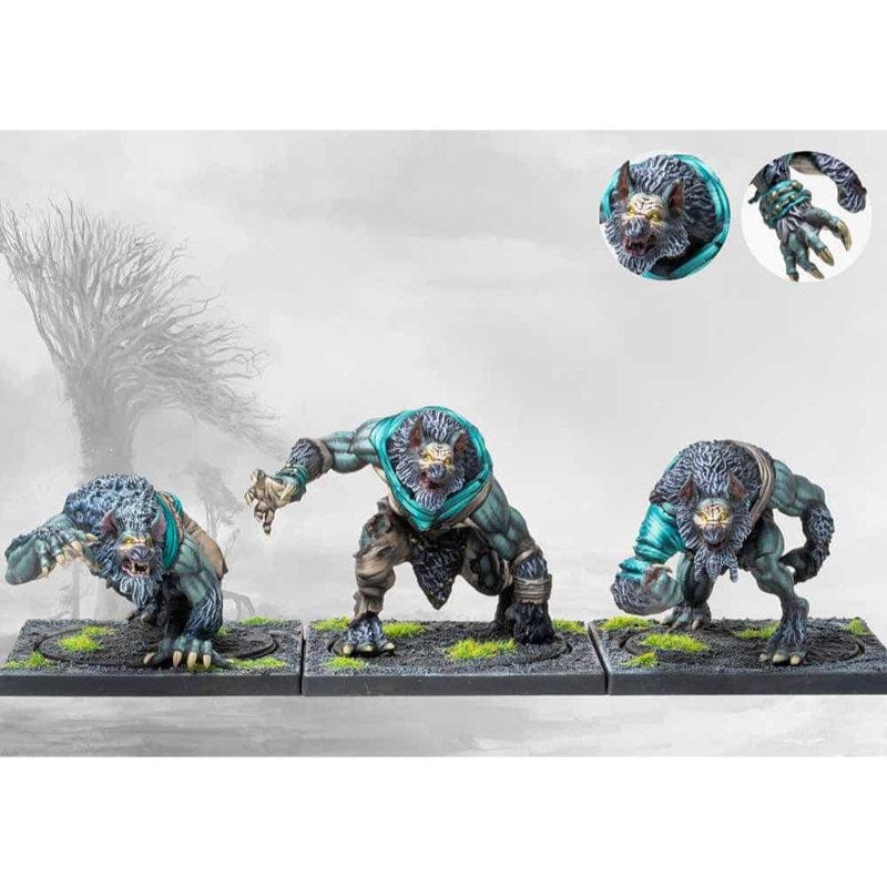 Para Bellum Wargames Miniatures Conquest - Nords - Werewargs