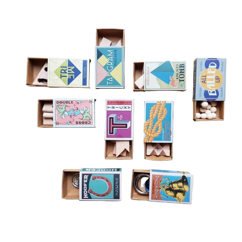 Project Genius Logic Puzzles Puzzle Box Display - Project Genius Puzzle (Assorted)