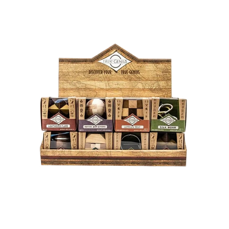 Project Genius Logic Puzzles True Genius - Project Genius Puzzle (Assorted)