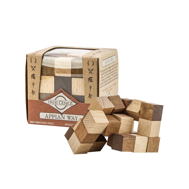 Project Genius Logic Puzzles True Genius - Project Genius Puzzle (Assorted)