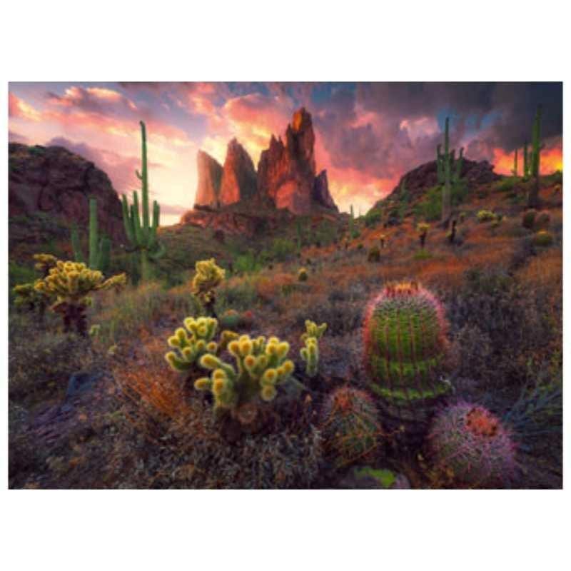 Ravensburger Jigsaws Cactus (500pc) Ravensburger