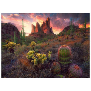 Ravensburger Jigsaws Cactus (500pc) Ravensburger