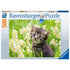 Ravensburger Jigsaws Cats Photo (500pc) Ravensburger