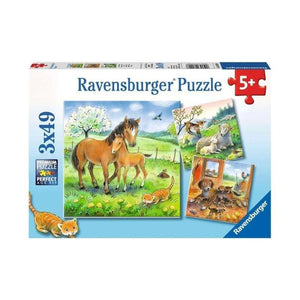 Ravensburger Jigsaws Kids Science/Professional (3x49pc) Ravensburger