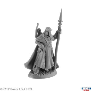 Reaper Miniatures Miniatures Reaper - Elanter the Lost Prince
