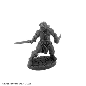 Reaper Miniatures Miniatures Reaper - Hyborian Hero