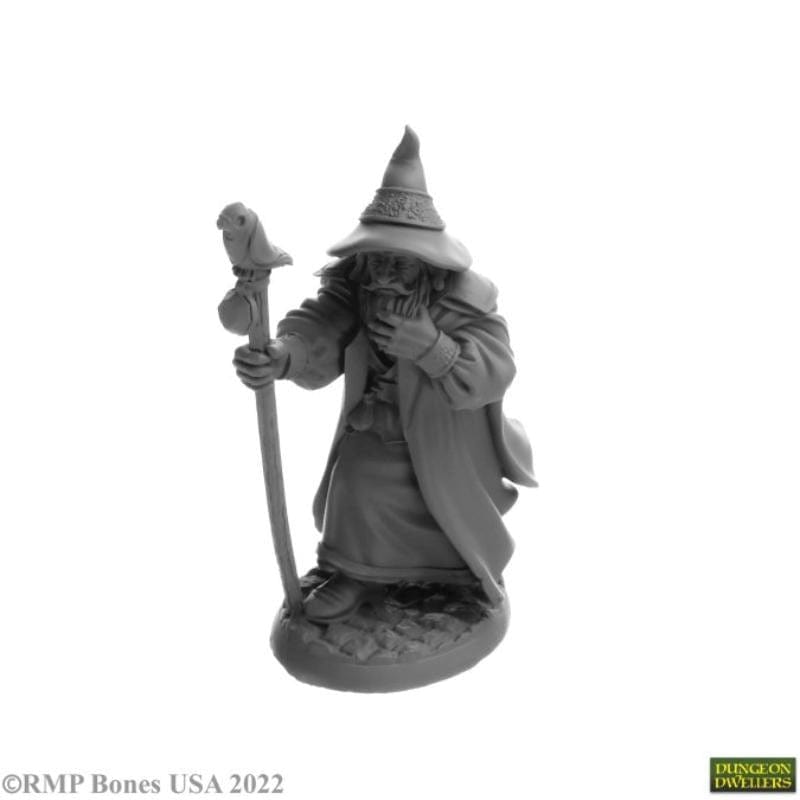 Reaper Miniatures Miniatures Reaper - Landol Griwsold Human Wizard