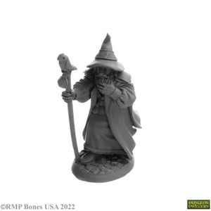 Reaper Miniatures Miniatures Reaper - Landol Griwsold Human Wizard