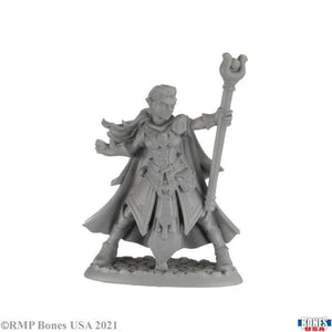 Reaper Miniatures Miniatures Reaper Miniatures - Alaedril Starbloom Elf Wizard