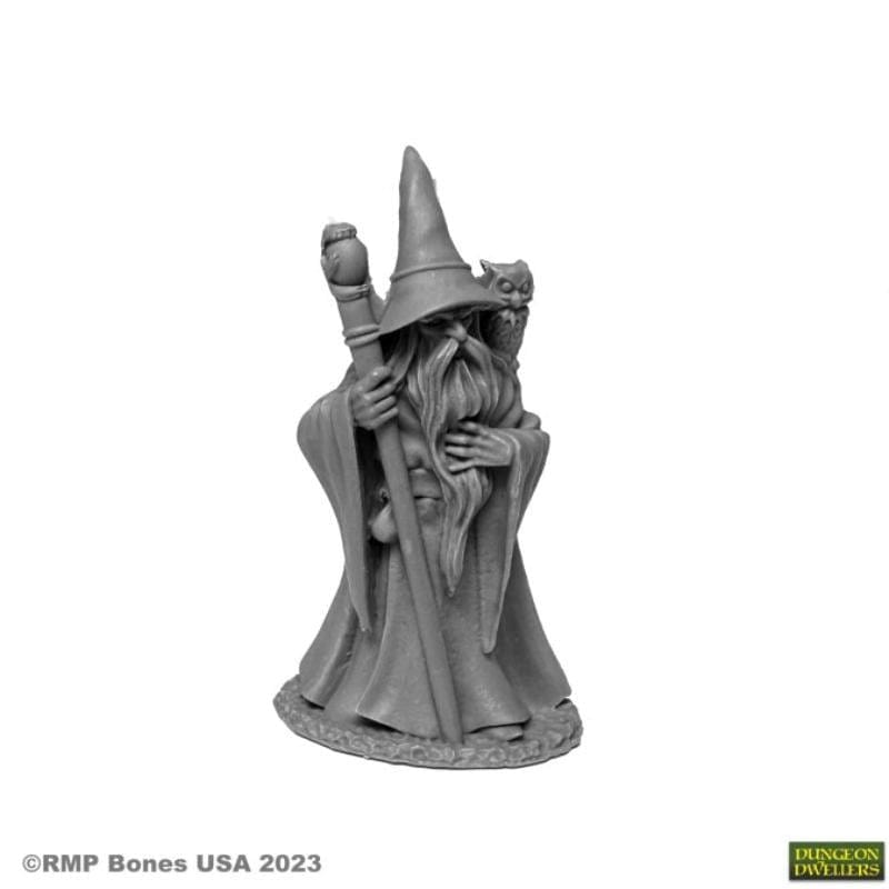 Reaper Miniatures Miniatures Reaper Miniatures - Anuminar Winterbeard Wizard