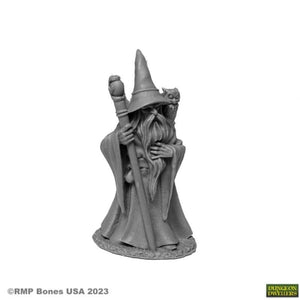 Reaper Miniatures Miniatures Reaper Miniatures - Anuminar Winterbeard Wizard