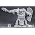 Reaper Miniatures Miniatures Reaper - Ogre Chieftain