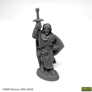 Reaper Miniatures Miniatures Reaper - Sir Danarel the Holy