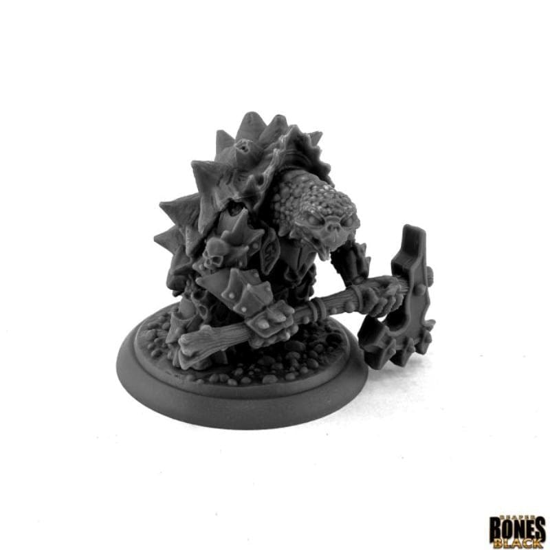 Reaper Miniatures Miniatures Reaper - Spikeshell Antipaladin