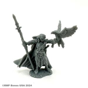 Reaper Miniatures Miniatures Reaper - Wood Elf King