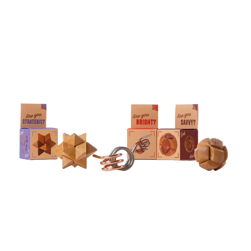 Recent Toys Logic Puzzles Metal & Wood Puzzles - Are you Series (Assorted)