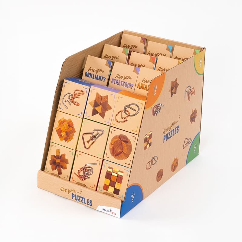 Recent Toys Logic Puzzles Metal & Wood Puzzles - Are you Series (Assorted)