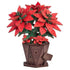 Robotime Construction Puzzles DIY Wood Bloom - Poinsettia