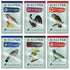 Stonemaier Games Board & Card Games Wingspan - Fan Designed Packs (Assorted)