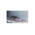 Ultimate Guard Trading Card Games Playmat - Ultimate Guard Artist Edition #01 - MOH The Hunters' Quest