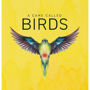 UNK Board & Card Games A Game Called Birds