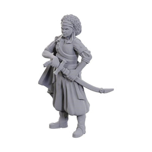 WizKids Miniatures Wizkids Unpainted Miniatures - Nolzur's - Ansalon Human Rogue (September 2024 Release)