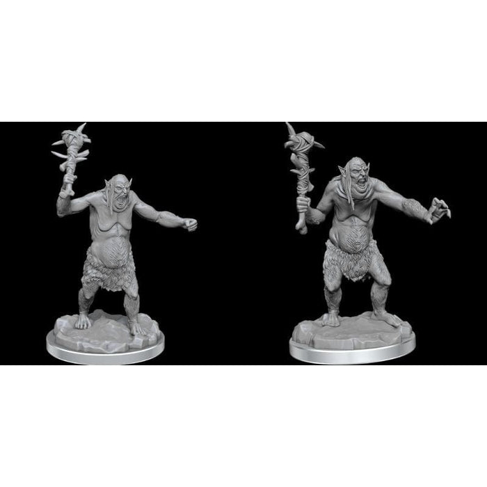 Wizkids Unpainted Miniatures - Nolzur's - Grimlocks