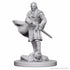 WizKids Miniatures Wizkids Unpainted Miniatures - Nolzur's - Vampires
