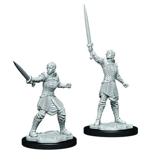WizKids Miniatures Critical Role Unpainted Miniatures - Human Dwendalian Empire Fighter Female