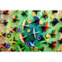 Blue Orange Games Board & Card Games Photosynthesis