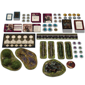 Cool Mini or Not Miniatures A Song of Ice and Fire - Tabletop Miniatures Game Targaryen Starter Set