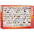 Eurographics Jigsaws The World Of Cats (1000pc) Eurographics