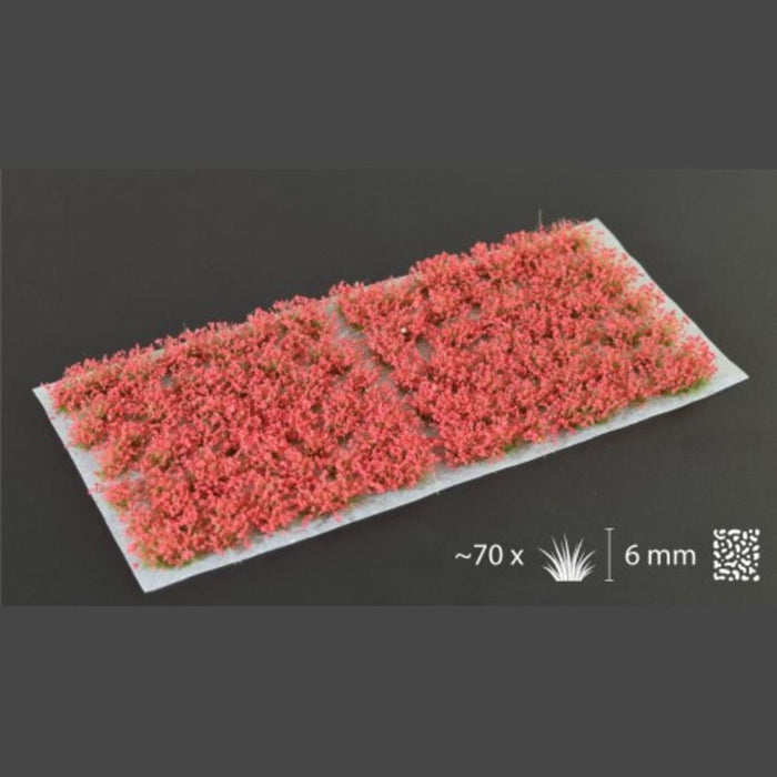 Gamers Grass -  Red Flowers