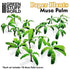 Greenstuff World Hobby GSW - Musa Tree Paper Plant Cutout (Unpainted)