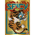 HeidelBÃ¤r Games Board & Card Games Spicy