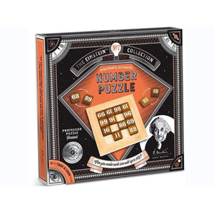 Professor Puzzle Logic Puzzles Einstein's Number Puzzle