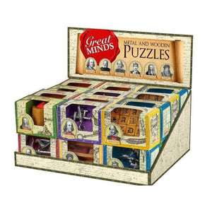 Professor Puzzle Logic Puzzles Great Minds Metal & Wood Puzzles (Assorted)