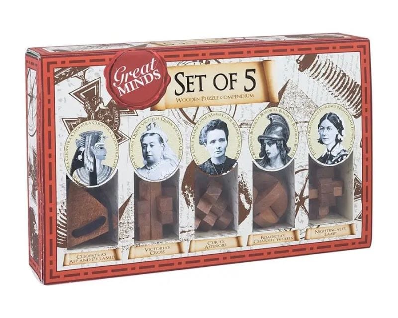 Professor Puzzle Logic Puzzles Great Minds Puzzles - Women (Set of 5)