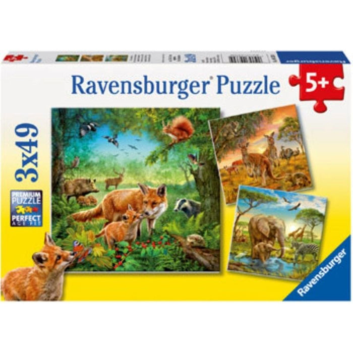 Animals of the Earth (3x49pc) Ravensburger