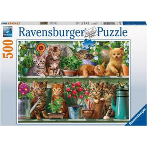 Ravensburger Jigsaws Cats on the Shelf (500pc) Ravensburger