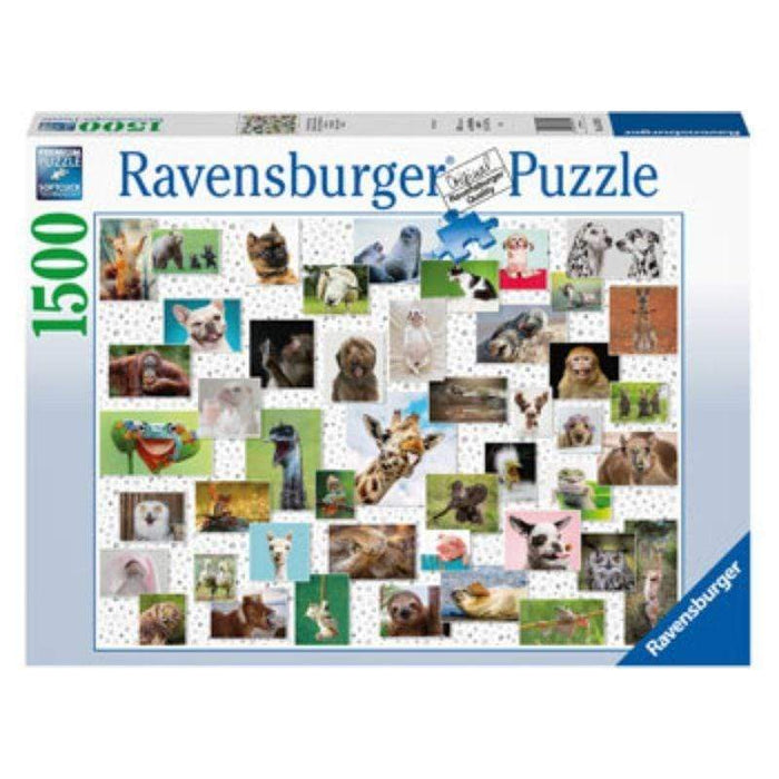 Funny Animals (1500pc) Ravensburger