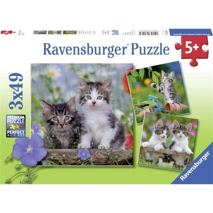 Kittens (3x49pc) Ravensburger